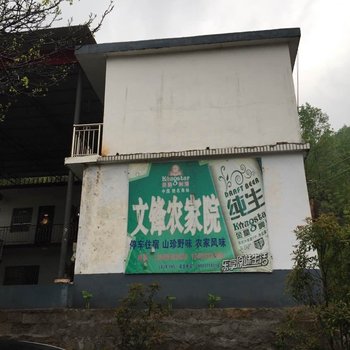 鲁山想马河文峰农家院酒店提供图片