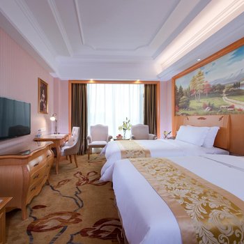 维也纳国际酒店(茂名高铁火车站店)酒店提供图片