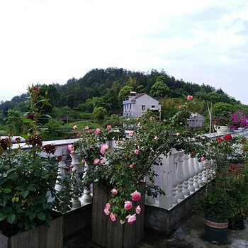 天台乐兴花居农家乐酒店提供图片