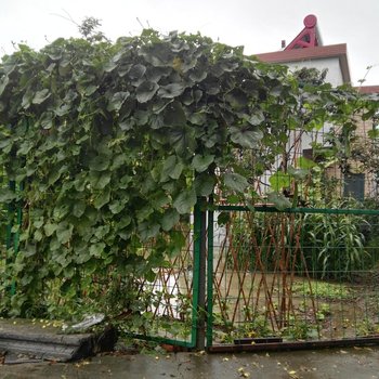 上海小小周家农家乐酒店提供图片