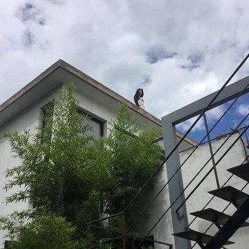 大理旅马客栈