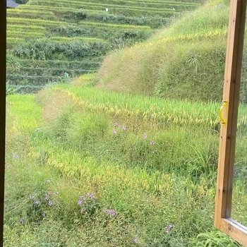 龙胜悠然居民宿酒店提供图片