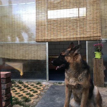 拉萨大师兄的小铺子住宿酒店提供图片