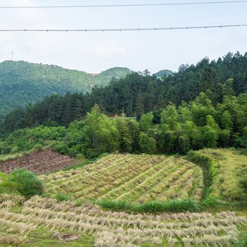 婺源婺隐居·南西特色民宿酒店提供图片