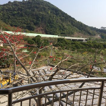 广州从化良口南风客栈带温泉池酒店提供图片