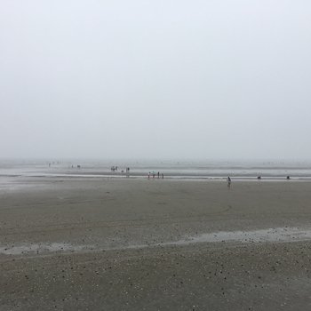丹东大鹿岛许氏渔家客栈酒店提供图片
