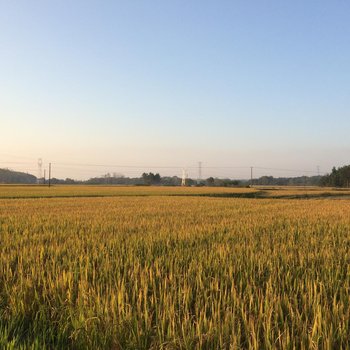 泾县听三田舍民宿酒店提供图片