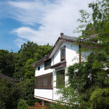 西湖茶墅·竹