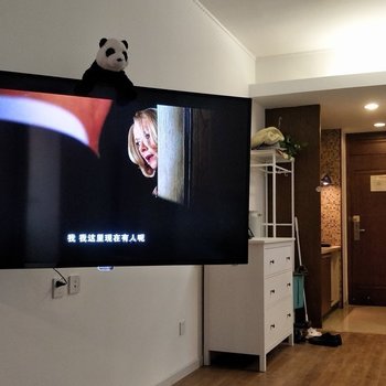 武汉巴纳菲尔公寓(新华下路分店)