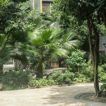 广州小星星的家普通公寓(林乐路店)酒店提供图片