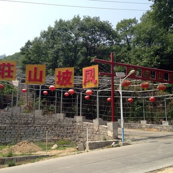 凤坡山庄农家院
