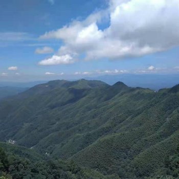 井冈山红色旅游民宿(3号店)酒店提供图片