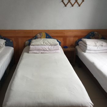辉县八里沟红珊瑚农家小院酒店提供图片