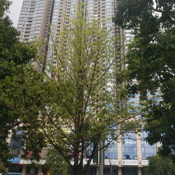 肇庆小清新宜家公寓酒店提供图片