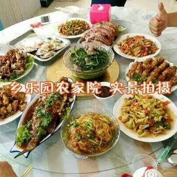 绥中乡乐园农家院酒店提供图片