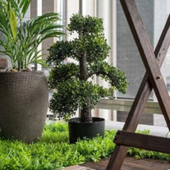 ���ݲ��곿��ͨ��Ԣ(����ֱ�ֵ�)�Ƶ��ṩͼƬ