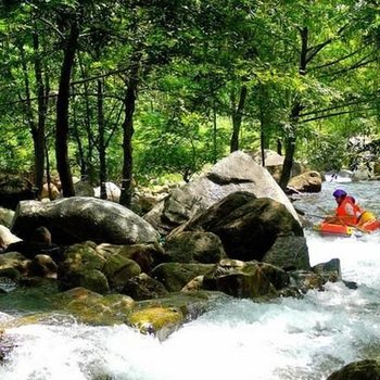 浏阳市大围山红莲寺养心园心静阁酒店提供图片