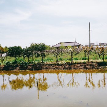 上海异想少女特色民宿(路一1路与路一2路交叉口分店)酒店提供图片