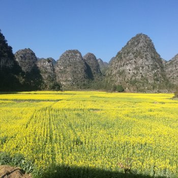 黔西南兴义万峰林麦子山庄特色民宿(上纳灰村分店)
