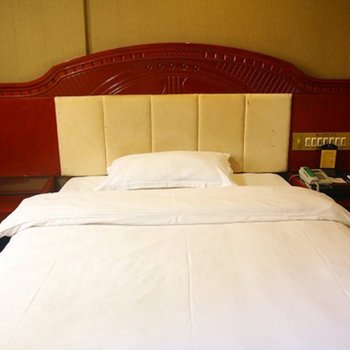 怀化世雄大酒店酒店提供图片