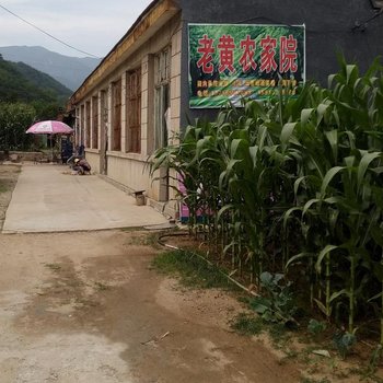 北京老黄农家院