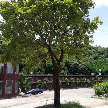 河源智裕山庄酒店提供图片