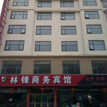 新县林锋商务宾馆