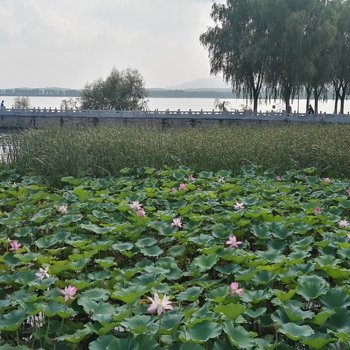 北京唯美五环永定河畔水库绿野环抱欧式近地铁度假别墅酒店提供图片