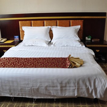 金乡海川大酒店酒店提供图片
