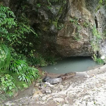 神农架林区木鱼镇摇篮湖山庄客栈酒店提供图片