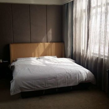 靖边盛世统万国际酒店酒店提供图片