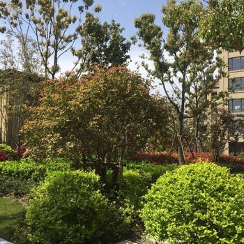 上海平安民宿(墨玉北路分店)酒店提供图片