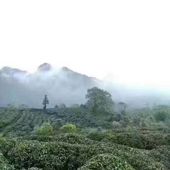 九江清风客栈酒店提供图片