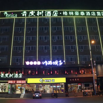 青皮树合肥安农大地铁站安庆西路酒店酒店提供图片