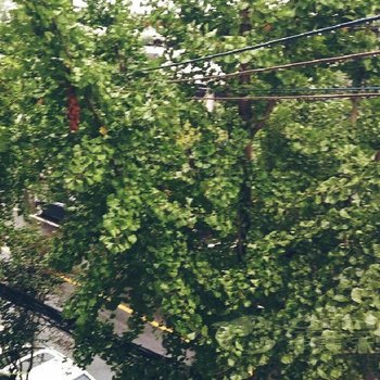 都江堰市杨记客栈酒店提供图片