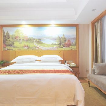 维纳斯国际酒店(上海国际旅游度假区野生动物园店)酒店提供图片