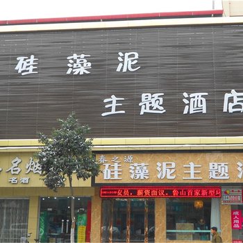 春之源-硅藻泥主题酒店(鲁山华建99快捷酒店)酒店提供图片