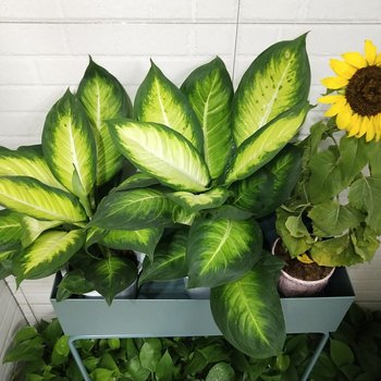 常州小腊肉公寓(2号店)酒店提供图片