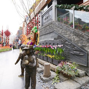 成都如心精选公寓酒店提供图片