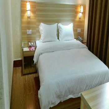 天等县嘉豪商务酒店酒店提供图片