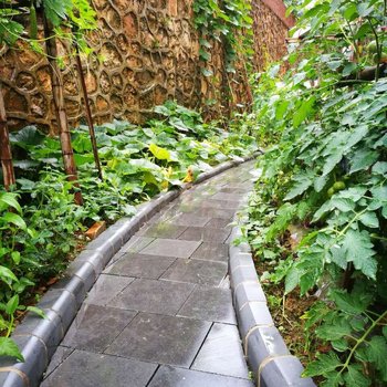 桂林七星雅云居民宿酒店提供图片