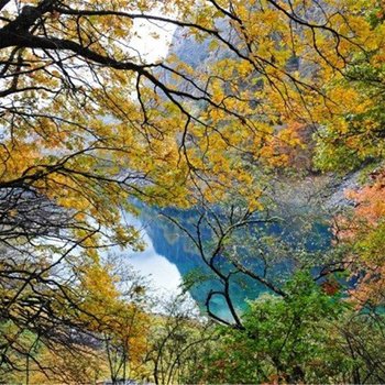 茂县松坪沟景区栖云别院酒店提供图片