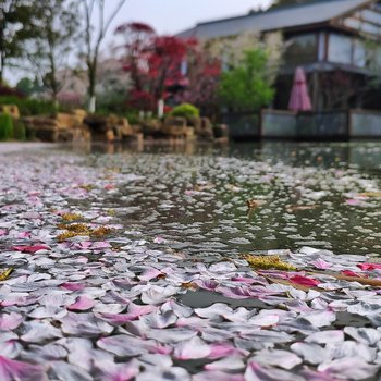 宜兴行香竹苑度假村酒店提供图片