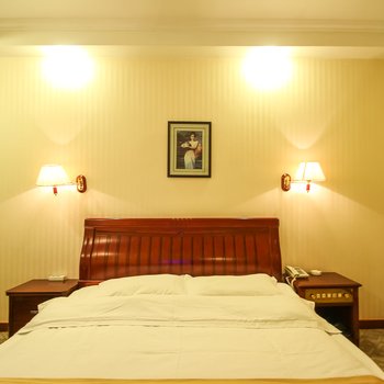 金湖维景酒店(淮安)酒店提供图片