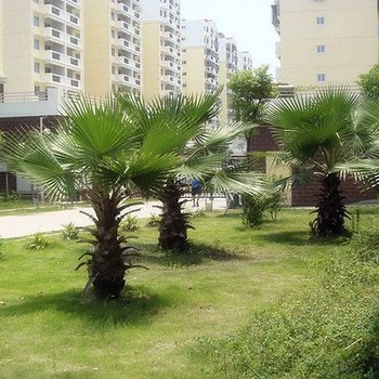 雅馨公寓(厦门龙湖花园店)