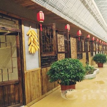 盘锦市绿之春农家院酒店提供图片