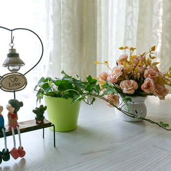 成都听风的家特色民宿酒店提供图片