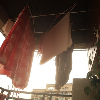 ������פʱ��������ͨ��Ԣ�Ƶ��ṩͼƬ