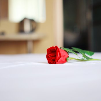 十堰阳春三月宾馆酒店提供图片