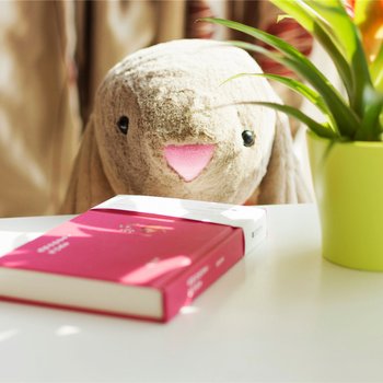 成都阿梦家温馨阳光公寓酒店提供图片